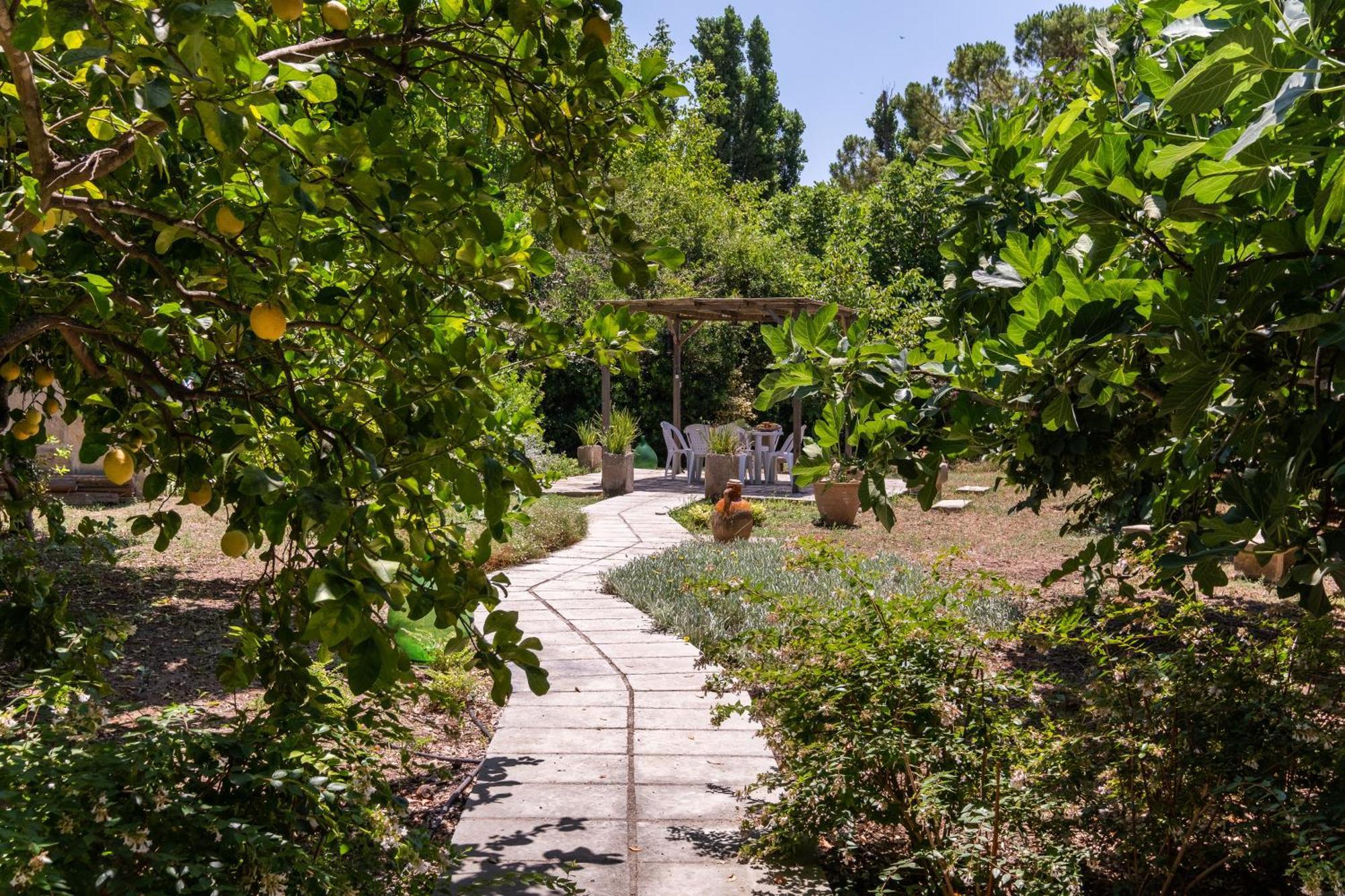 Villa La Dimora Elia' Muro Leccese Esterno foto